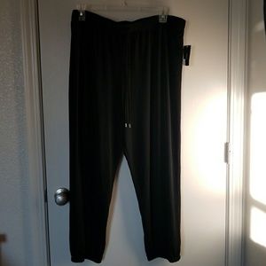 Never worn Alfani Slacks Size 3X